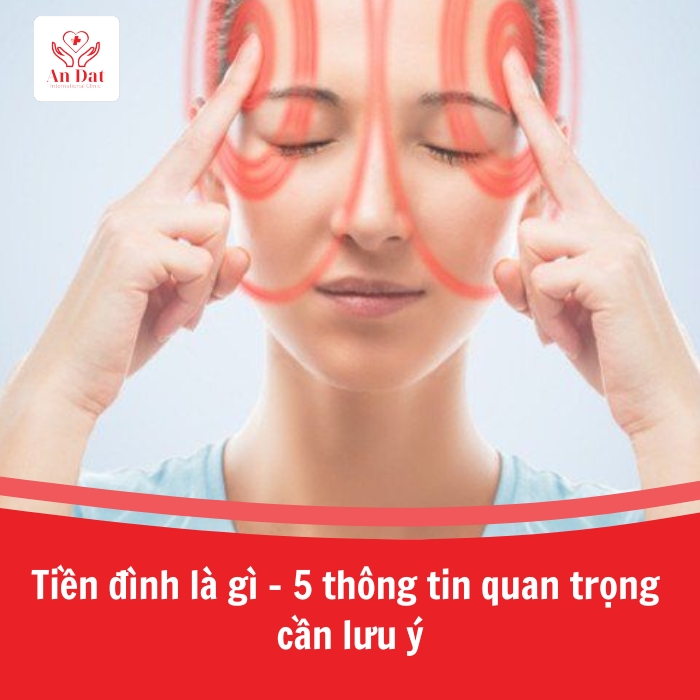 Tiền đình là gì – Chìa khóa giúp duy trì thăng bằng và sự linh hoạt của cơ thể