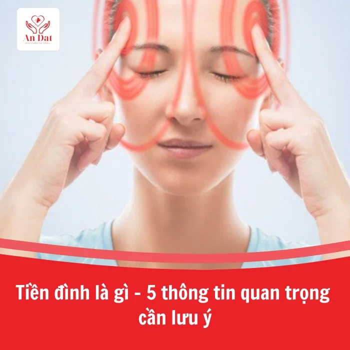 Tiền đình là gì – Chìa khóa giúp duy trì thăng bằng và sự linh hoạt của cơ thể